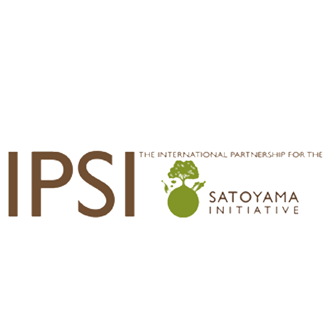 ipsi